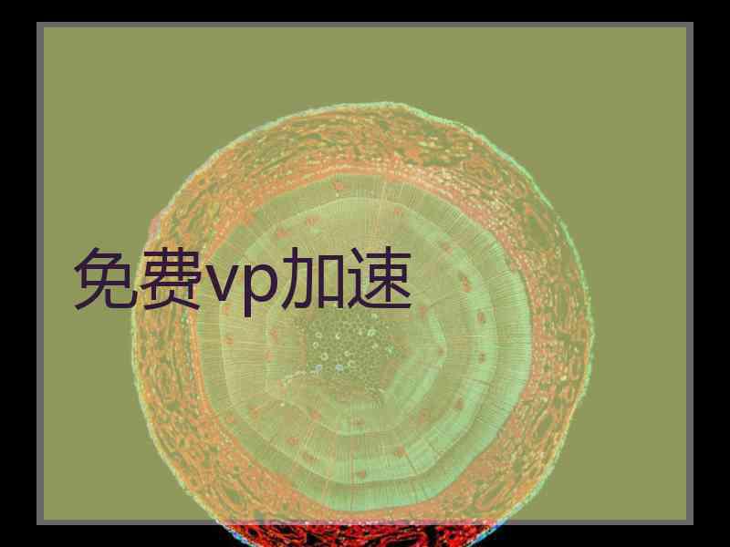 免费vp加速