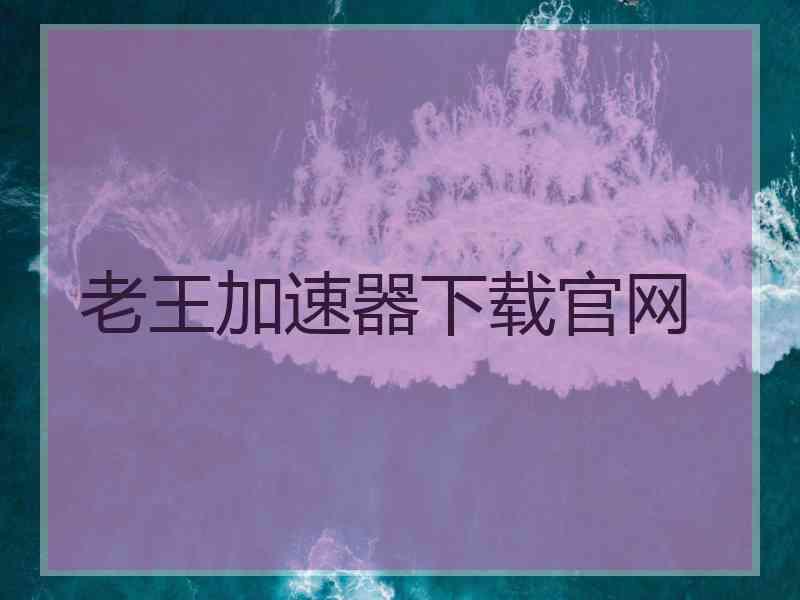 老王加速器下载官网