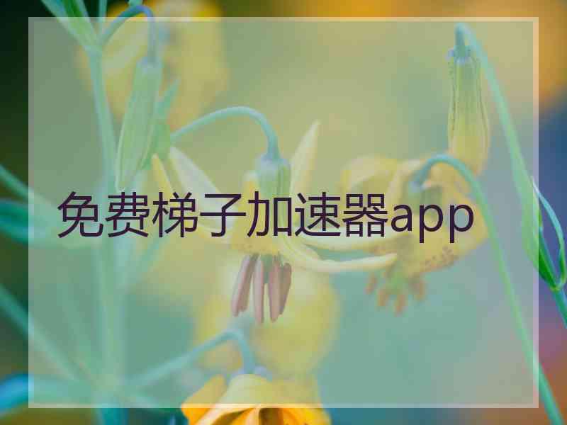 免费梯子加速器app