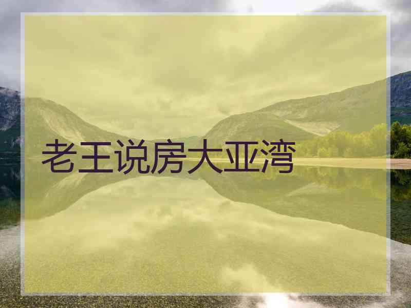 老王说房大亚湾