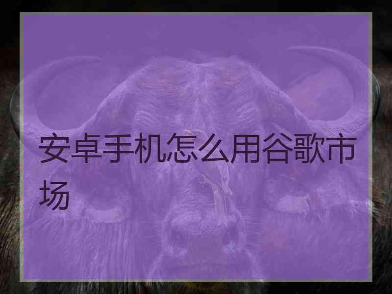 安卓手机怎么用谷歌市场