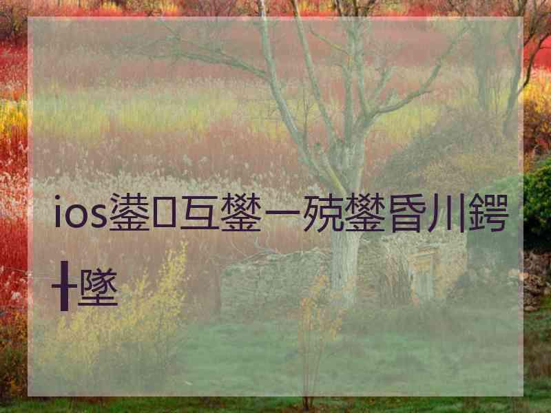 ios鍙互鐢ㄧ殑鐢昏川鍔╂墜