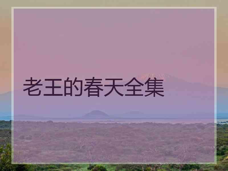 老王的春天全集