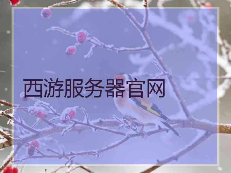 西游服务器官网