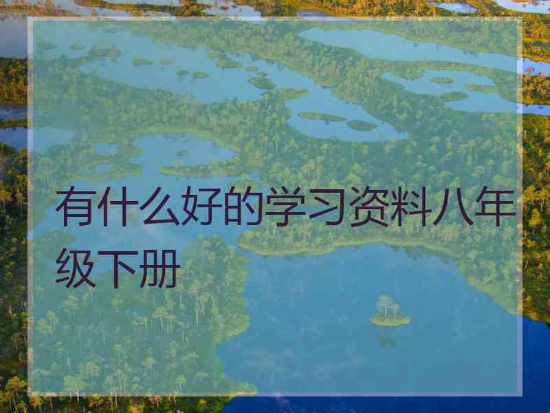 有什么好的学习资料八年级下册