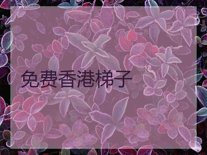 免费香港梯子