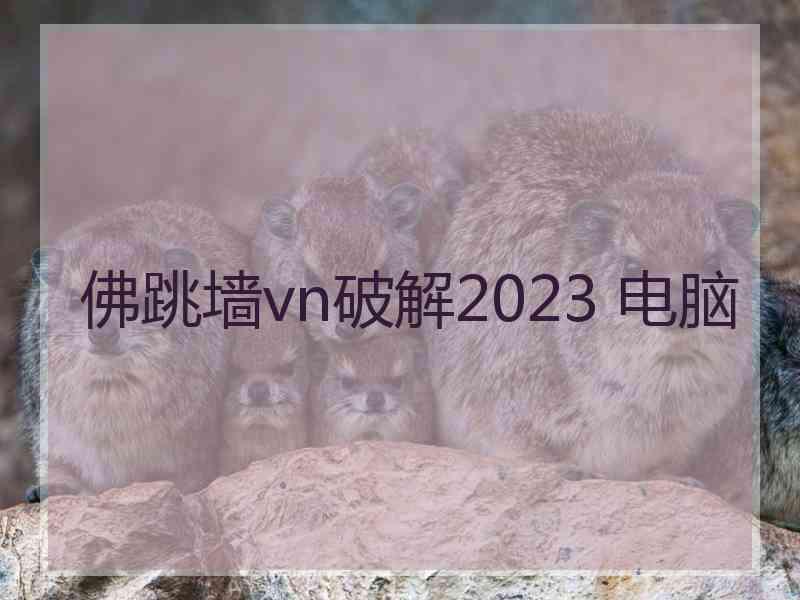 佛跳墙vn破解2023 电脑