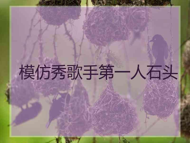 模仿秀歌手第一人石头