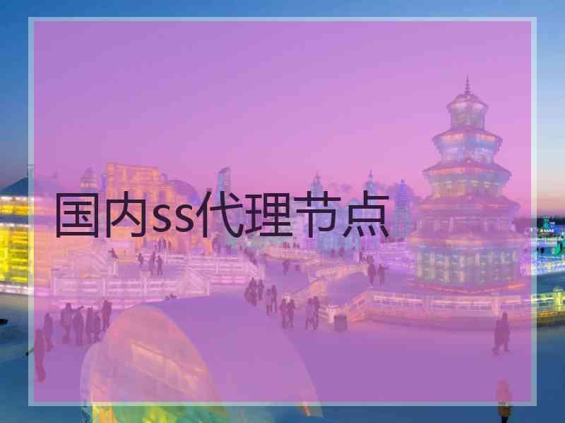 国内ss代理节点