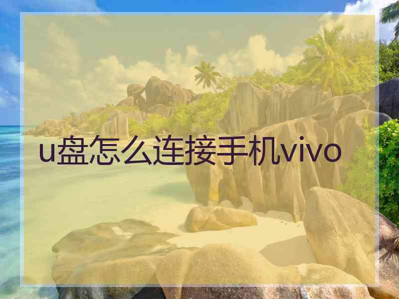 u盘怎么连接手机vivo