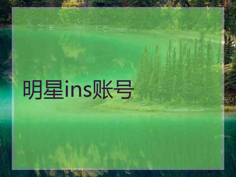 明星ins账号