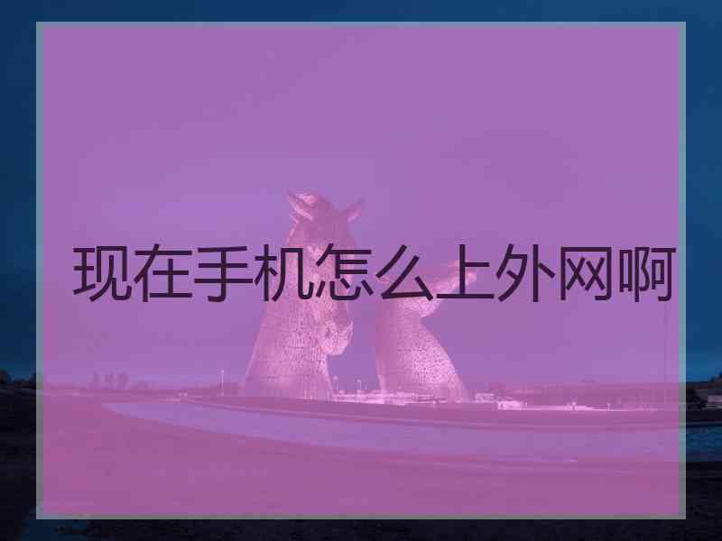 现在手机怎么上外网啊