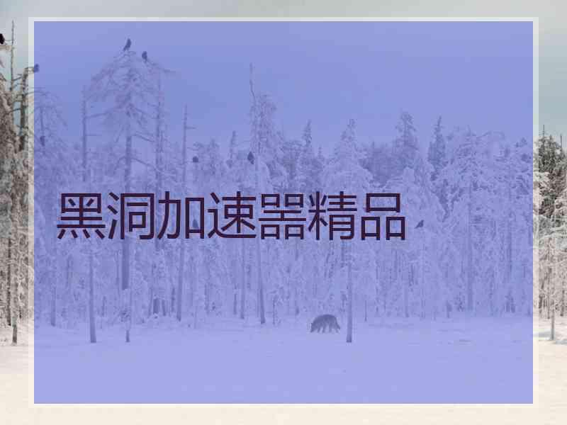 黑洞加速噐精品