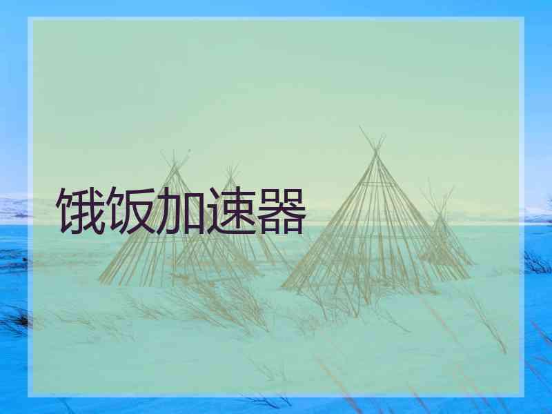 饿饭加速器