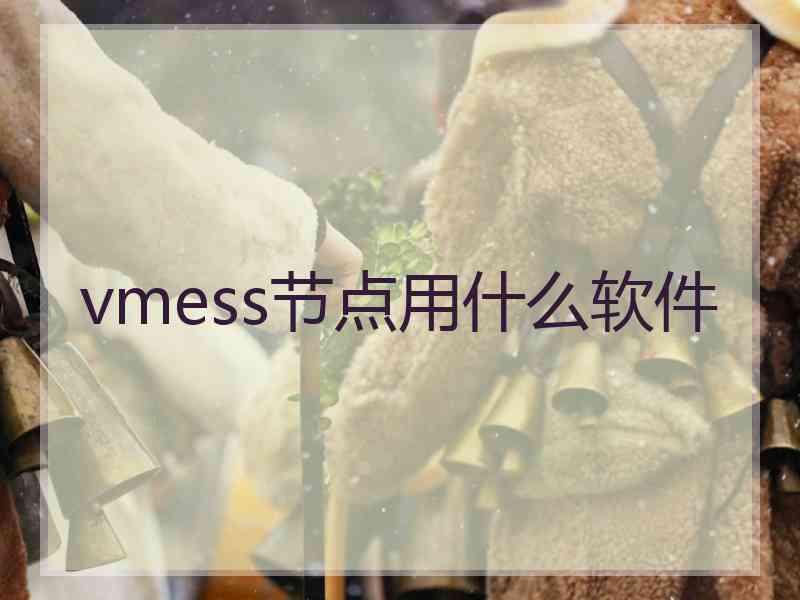 vmess节点用什么软件