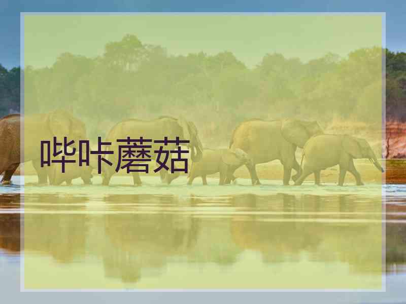哔咔蘑菇