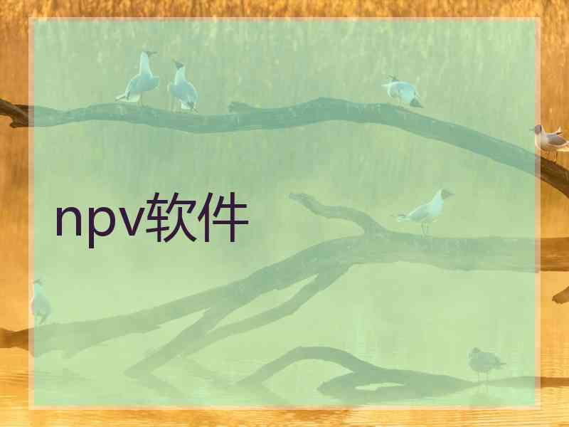 npv软件