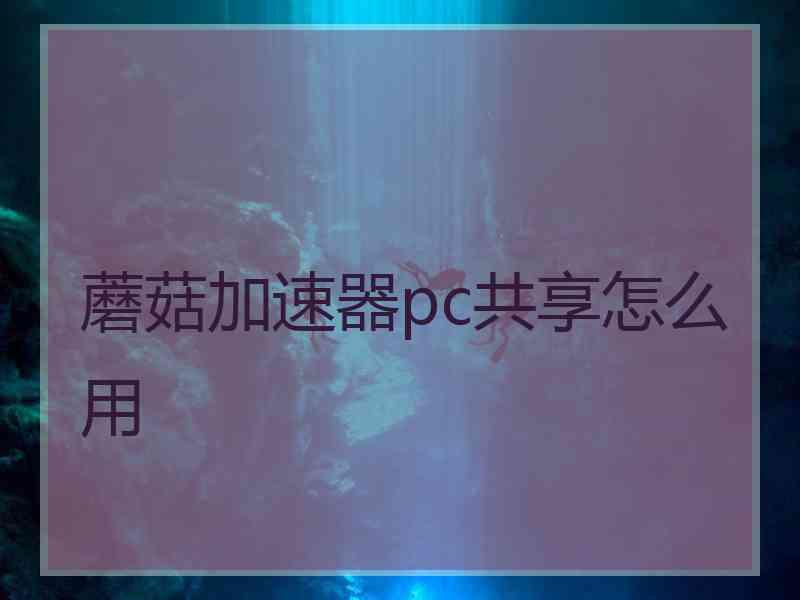 蘑菇加速器pc共享怎么用