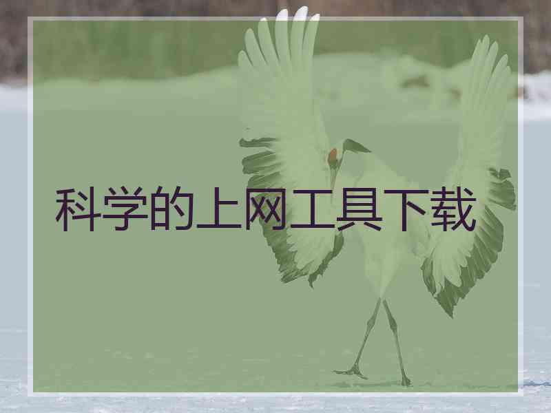 科学的上网工具下载