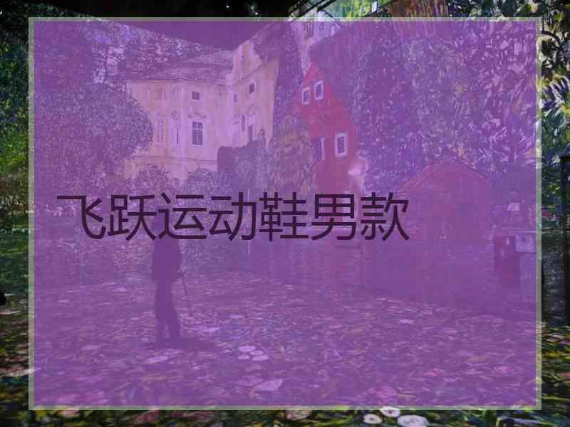 飞跃运动鞋男款