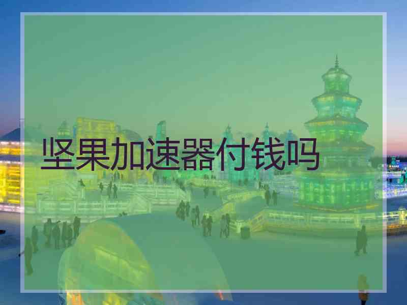 坚果加速器付钱吗