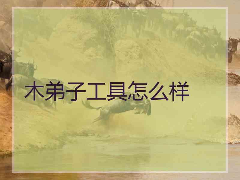 木弟子工具怎么样