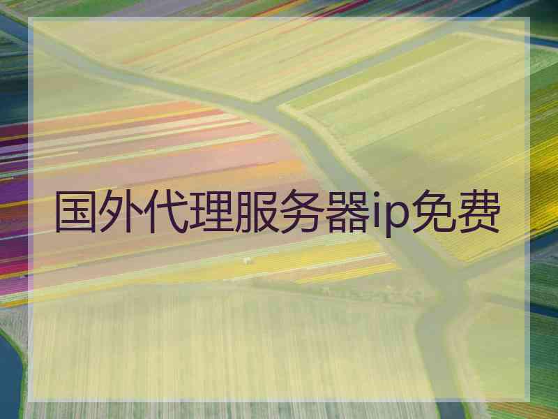 国外代理服务器ip免费