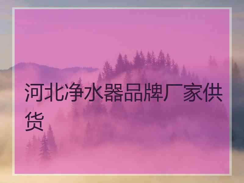河北净水器品牌厂家供货