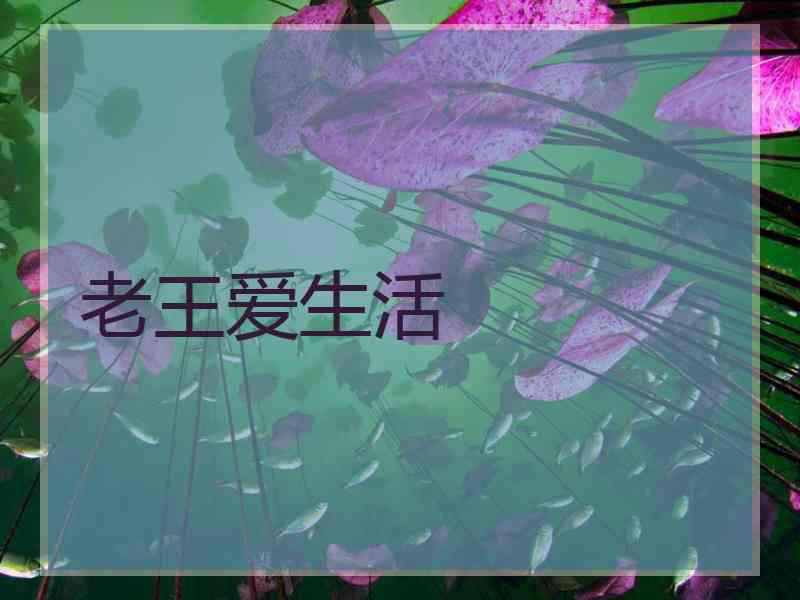 老王爱生活