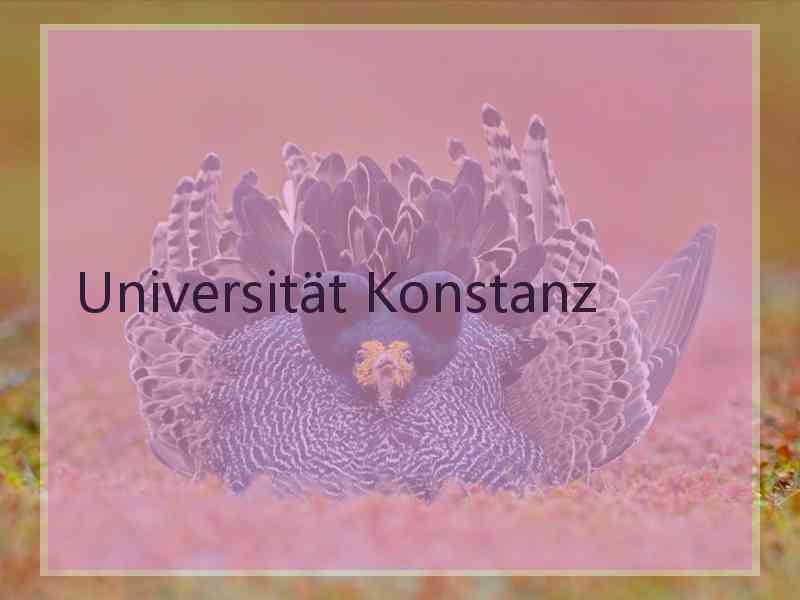 Universität Konstanz