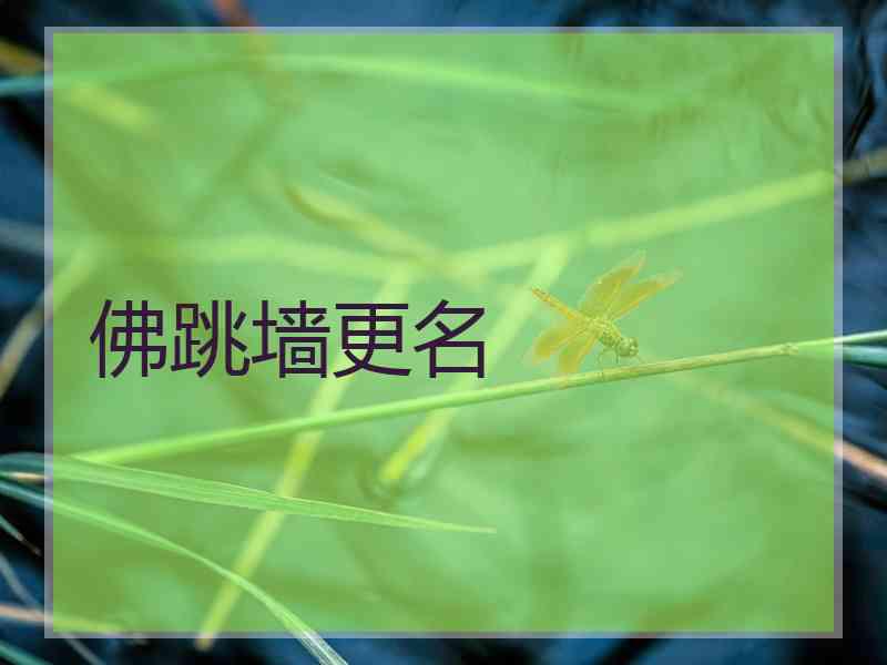 佛跳墙更名