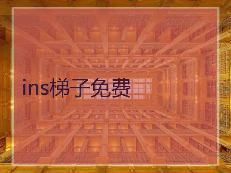 ins梯子免费