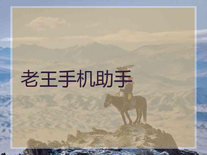 老王手机助手