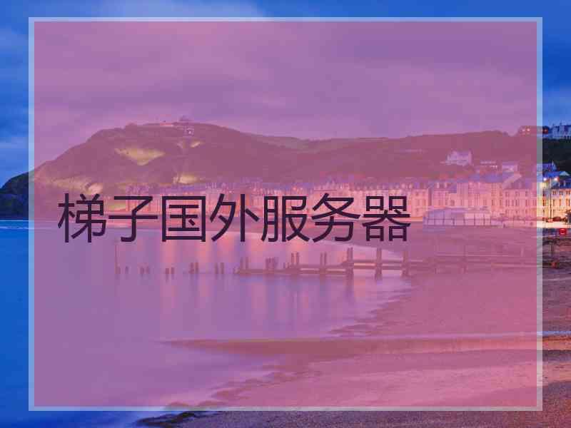 梯子国外服务器