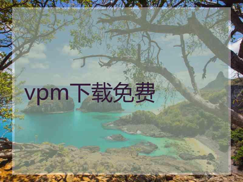 vpm下载免费