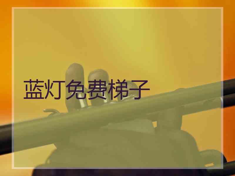 蓝灯免费梯子