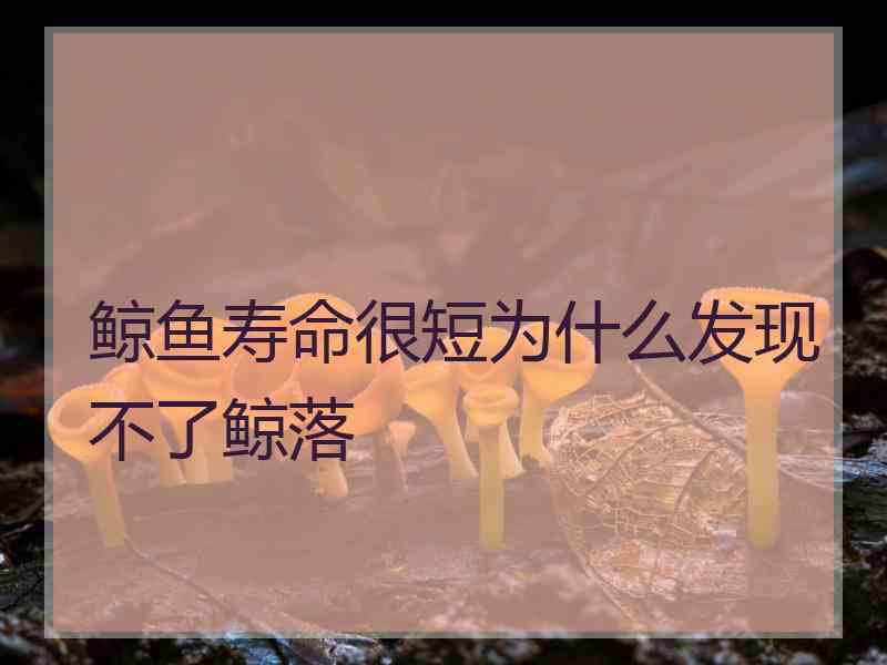 鲸鱼寿命很短为什么发现不了鲸落