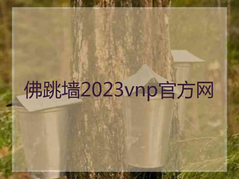 佛跳墙2023vnp官方网