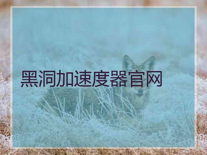 黑洞加速度器官网