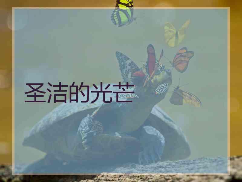 圣洁的光芒