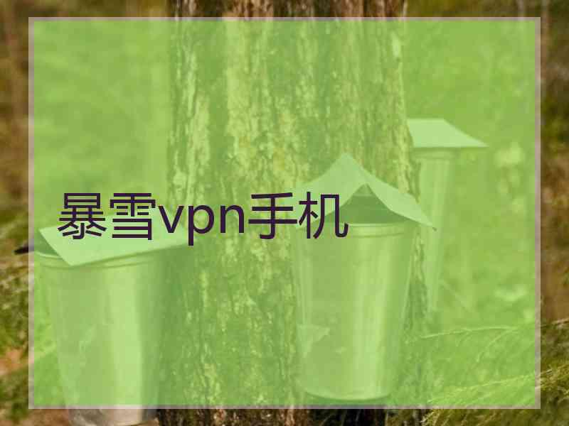 暴雪vpn手机