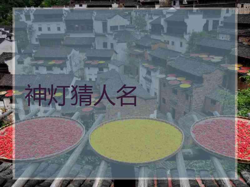 神灯猜人名