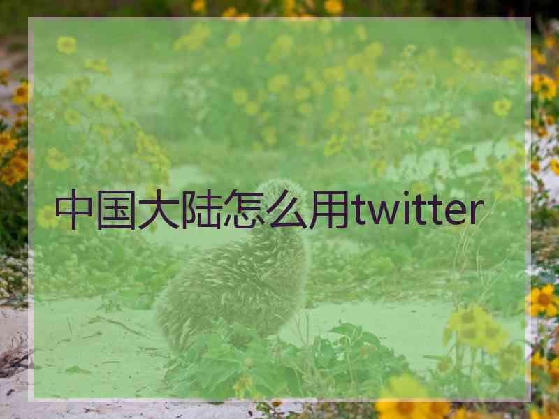 中国大陆怎么用twitter