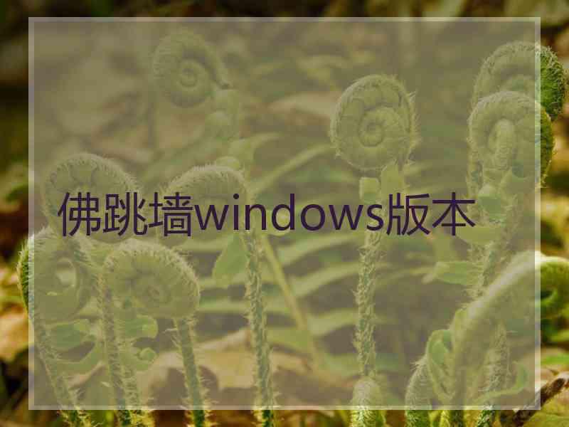 佛跳墙windows版本