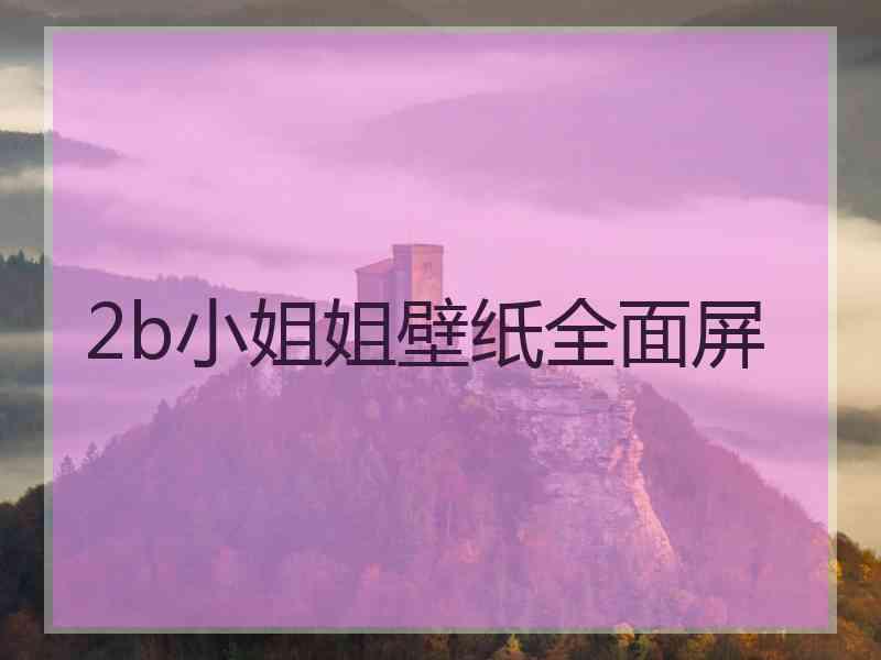 2b小姐姐壁纸全面屏