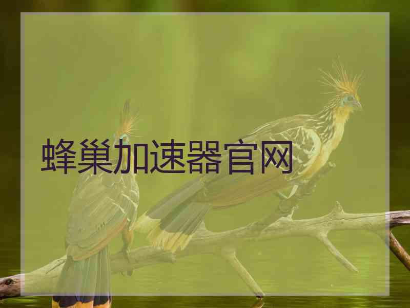 蜂巢加速器官网