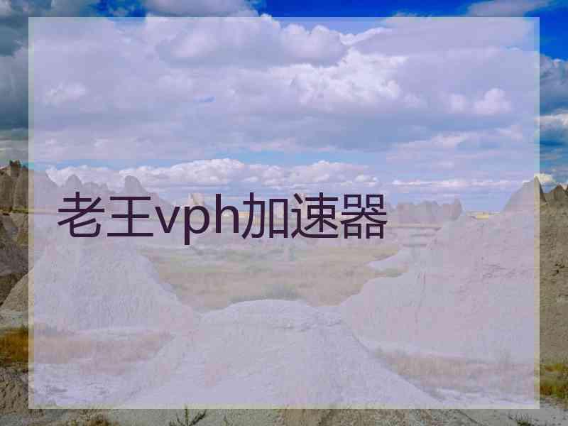 老王vph加速器