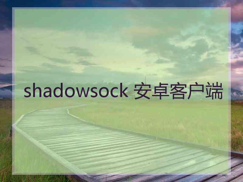 shadowsock 安卓客户端