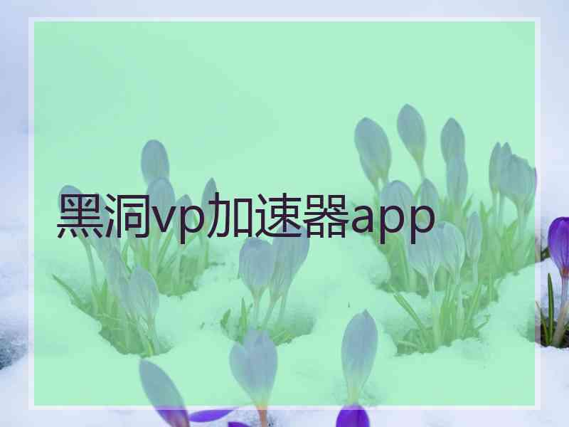 黑洞vp加速器app