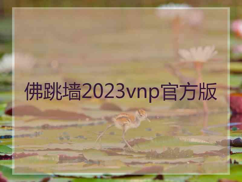 佛跳墙2023vnp官方版